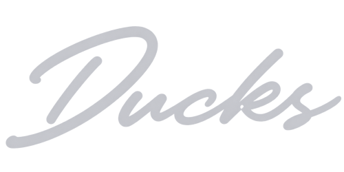Ducks-titulo